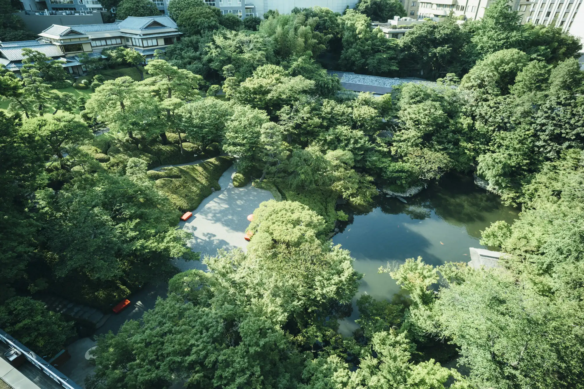 日本庭園をのぞむ料亭 2枚目